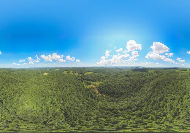 57th image of 0 Grapevine Road, Crossville, TN 38572 | MLS# 3506123