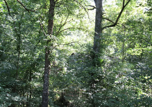 4th image of 0 Hoover Dr And Collins St, Mc Minnville, TN 37110 | MLS# 3510923