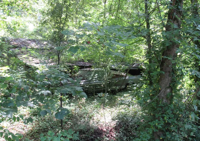 5th image of 0 Hoover Dr And Collins St, Mc Minnville, TN 37110 | MLS# 3510923