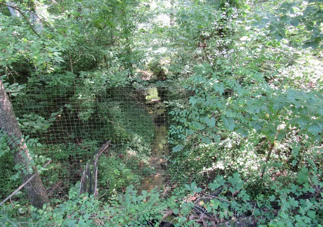 7th image of 0 Hoover Dr And Collins St, Mc Minnville, TN 37110 | MLS# 3510923