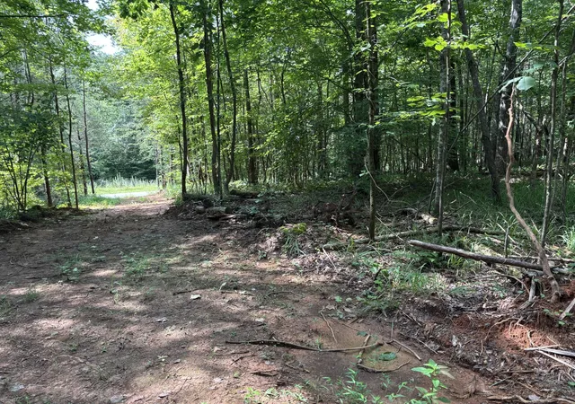 5th image of 130 Tellico Camp Road, Madisonville, TN 37354 | MLS# 3506128