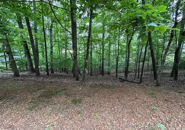 image of 0 Anderson Hollow Rd, Savannah, TN 38372 | MLS# 3506166