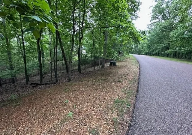 image of 0 Anderson Hollow Rd, Savannah, TN 38372 | MLS# 3506166