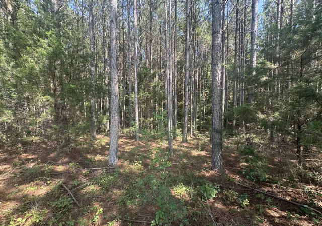 21st image of 0 Spring Pl Road Se, Cleveland, TN 37323 | MLS# 3506283