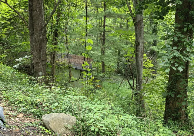 9th image of 822 Heiden Dr, Gatlinburg, TN 37738 | MLS# 3506497
