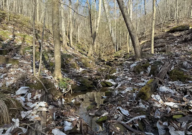 Photo 12 of Land for sale at 0 County Rd 41, Addison, AL 35540 | MLS# 3506539 | Listing updated on 2026-08-11
