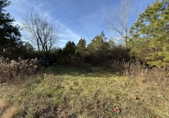 Photo 3 of Land for sale at 0 County Rd 41, Addison, AL 35540 | MLS# 3506539 | Listing updated on 2026-08-11