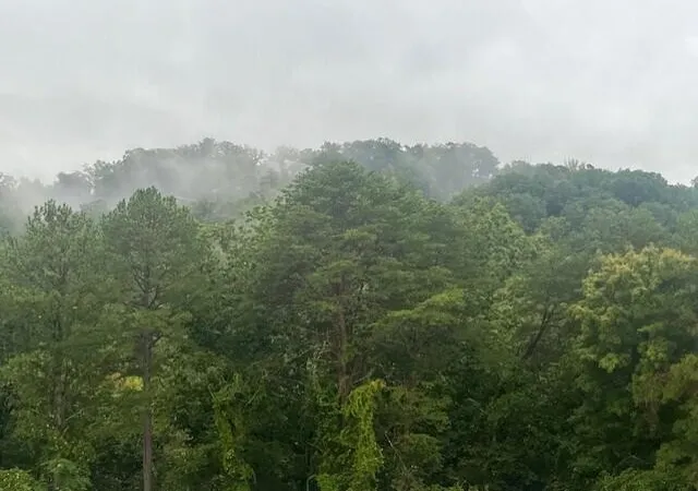 45th image of 1414 Continental Dr #407+409, Chattanooga, TN 37405 | MLS# 3506540