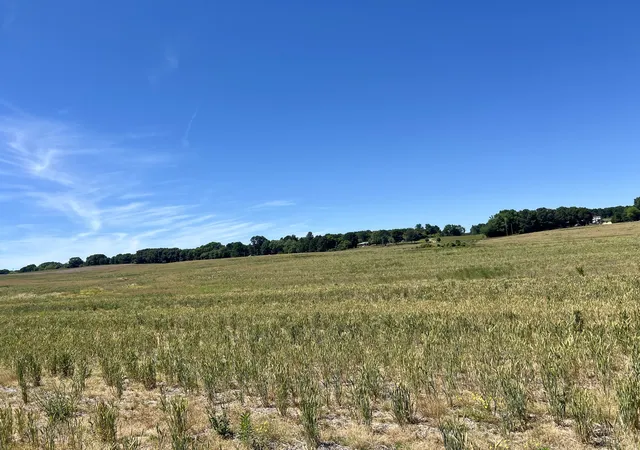 15th image of 0 County Road 106, Florence, AL 35633 | MLS# 3506544