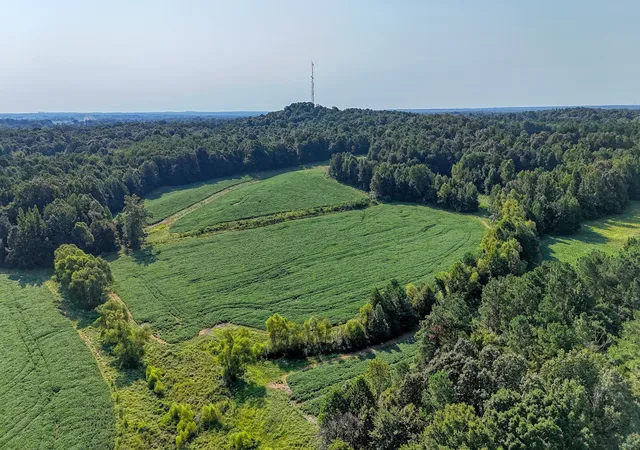 2nd image of 0 Finch Rd, Gleason, TN 38229 | MLS# 3510653