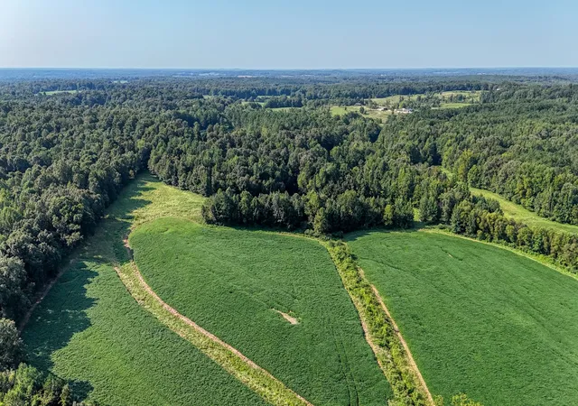 Photo 3 of Sale Pending at 0 Finch Rd, Gleason, TN 38229 | MLS# 3510653 | Listing updated on 2026-09-03