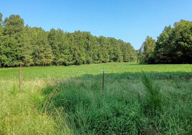 Photo 3 of Sale Pending at 0 Finch Rd, Gleason, TN 38229 | MLS# 3510653 | Listing updated on 2026-09-03