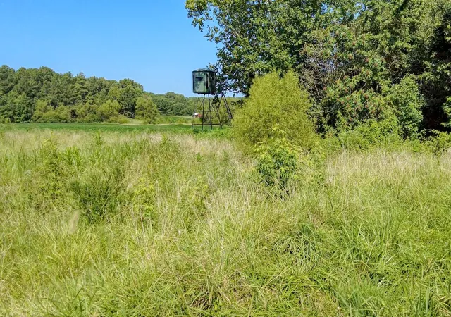 Photo 4 of Sale Pending at 0 Finch Rd, Gleason, TN 38229 | MLS# 3510653 | Listing updated on 2026-09-03
