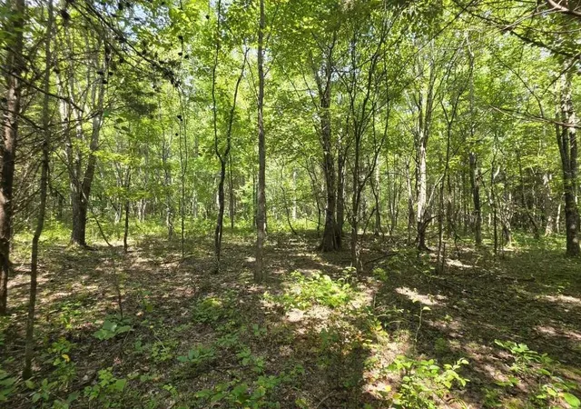 1st image of 0 N Old Military Rd, Summertown, TN 38483 | MLS# 3510209