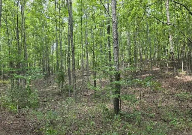 3rd image of 0 N Old Military Rd, Summertown, TN 38483 | MLS# 3510209