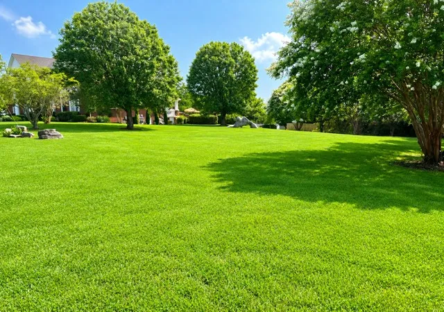 Land for sale at 325 N Central Ave, Watertown, TN 37184 | MLS# 3510482