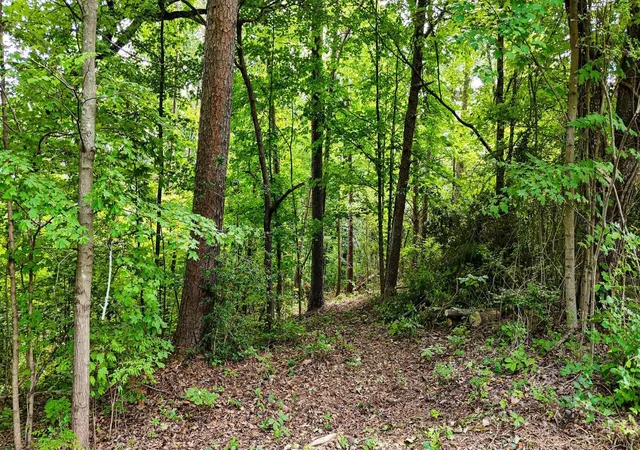 5th image of 5064 Hunter Trail, Chattanooga, TN 37415 | MLS# 3507973