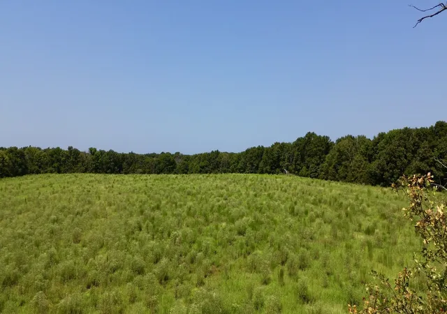 13th image of 0 Danville Road, Big Sandy, TN 38221 | MLS# 3508028
