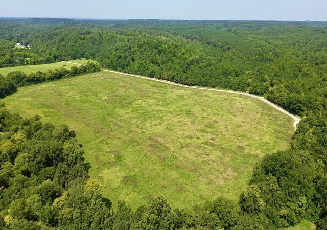 2nd image of 0 Danville Road, Big Sandy, TN 38221 | MLS# 3508028