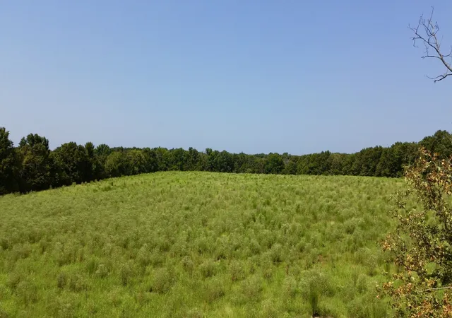 Photo 3 of Land for sale at 0 Danville Rd, Big Sandy, TN 38221 | MLS# 3508028 | Listing updated on 2026-08-11