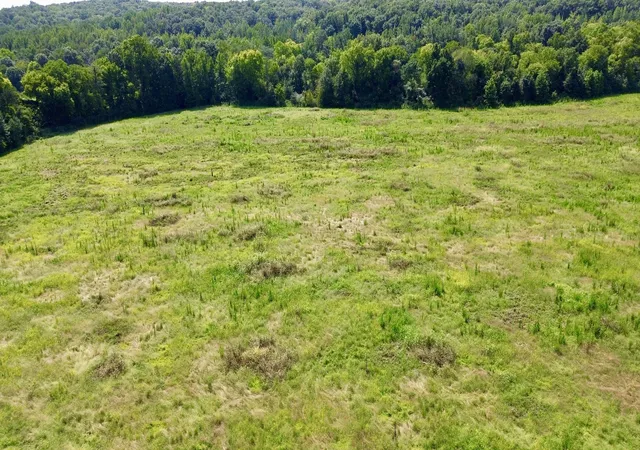 Photo 3 of House for sale at 0 Danville Rd, Big Sandy, TN 38221 | MLS# 3508028 | Listing updated on 2026-08-11