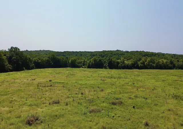 Photo 4 of House for sale at 0 Danville Rd, Big Sandy, TN 38221 | MLS# 3508028 | Listing updated on 2026-08-11