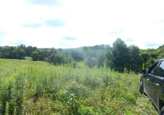 18th image of 0 Dark Hollow Rd, Mc Minnville, TN 37110 | MLS# 3508080