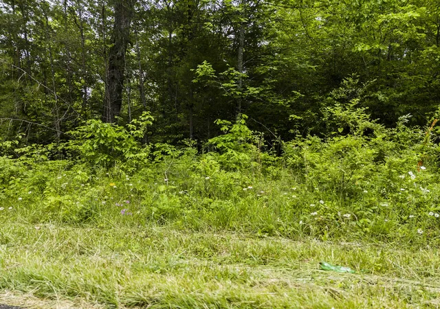 8th image of 2361 Colony Road, Gruetli Laager, TN 37339 | MLS# 3508036