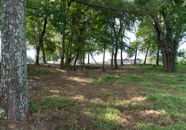 5th image of 244 Howell Hill Rd, Fayetteville, TN 37334 | MLS# 3510415