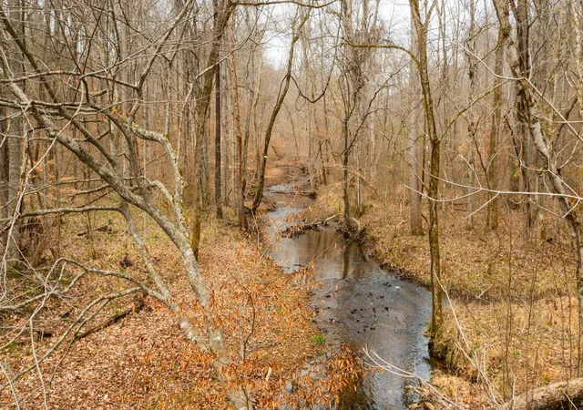 2nd image of 0 Macon Wall Rd, Ashland City, TN 37015 | MLS# 3513099