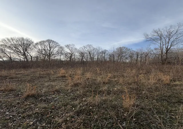 Photo 3 of Land for sale at 0 Macon Wall Rd, Ashland City, TN 37015 | MLS# 3513099 | Listing updated on 2026-08-24