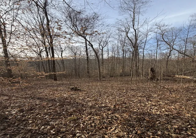Photo 4 of Land for sale at 0 Macon Wall Rd, Ashland City, TN 37015 | MLS# 3513099 | Listing updated on 2026-08-24