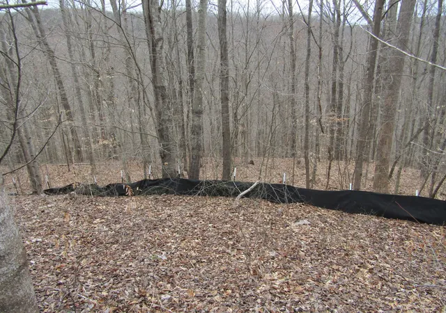 1st image of 0 Bobcat Lane, Wilder, TN 38589 | MLS# 3508129