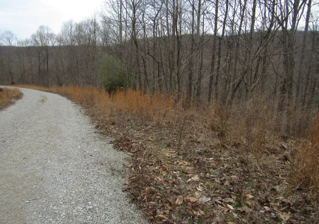 15th image of 0 Bobcat Lane, Wilder, TN 38589 | MLS# 3508129