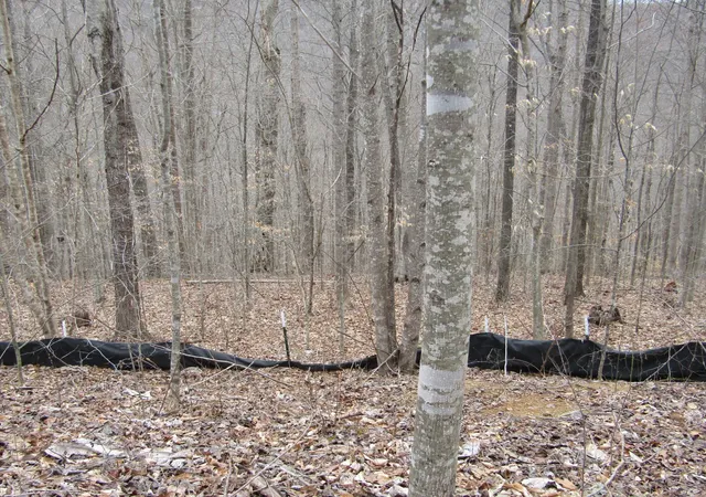 2nd image of 0 Bobcat Lane, Wilder, TN 38589 | MLS# 3508129