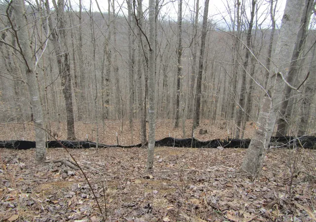3rd image of 0 Bobcat Lane, Wilder, TN 38589 | MLS# 3508129