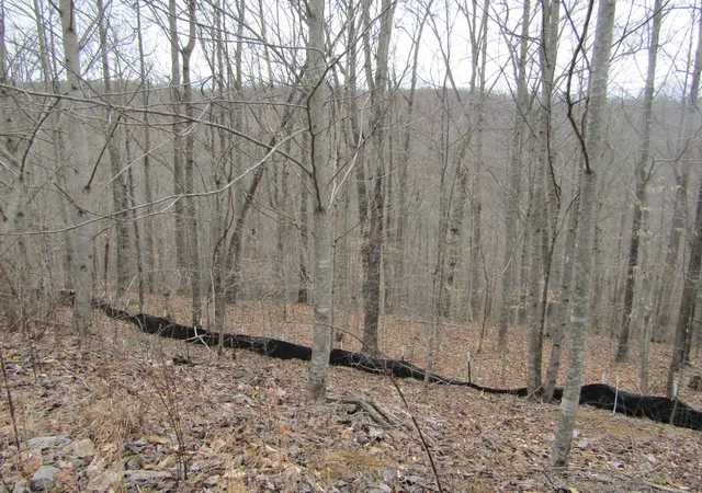 4th image of 0 Bobcat Lane, Wilder, TN 38589 | MLS# 3508129