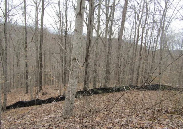5th image of 0 Bobcat Lane, Wilder, TN 38589 | MLS# 3508129
