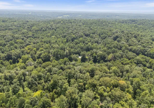 26th image of 0 Hwy 49w, Vanleer, TN 37181 | MLS# 3508176