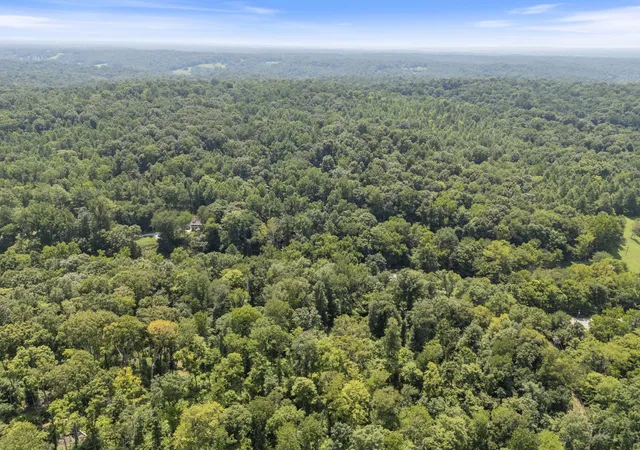 4th image of 0 Hwy 49W, Vanleer, TN 37181 | MLS# 3508176