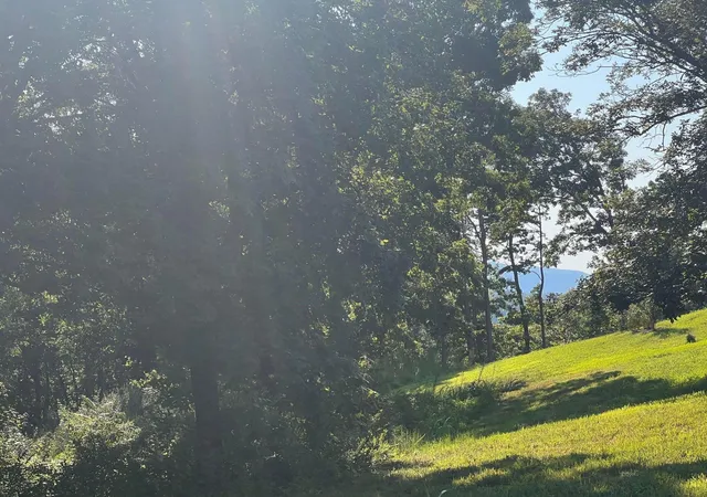 2nd image of 28 State Hwy 60, Birchwood, TN 37308 | MLS# 3508179