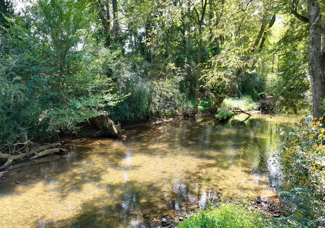 Photo 2 of Single family home for sale at 10501 Viola Rd, Morrison, TN 37357 | MLS# 3542663 | Listing updated on 2026-10-03