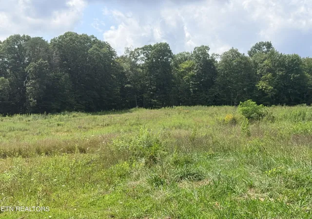 Photo 3 of Land for sale at 0 Mcghee St, Jamestown, TN 38556 | MLS# 3509947 | Listing updated on 2026-08-11