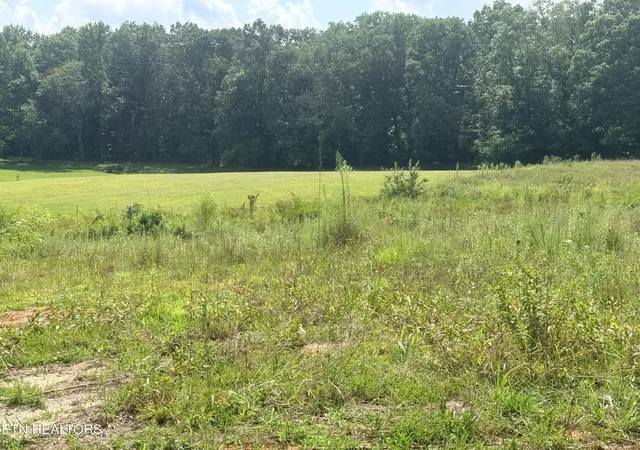Photo 4 of Land for sale at 0 Mcghee St, Jamestown, TN 38556 | MLS# 3509947 | Listing updated on 2026-08-11