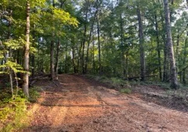 6th image of 1560 Tulu Rd, Michie, TN 38357 | MLS# 3510557