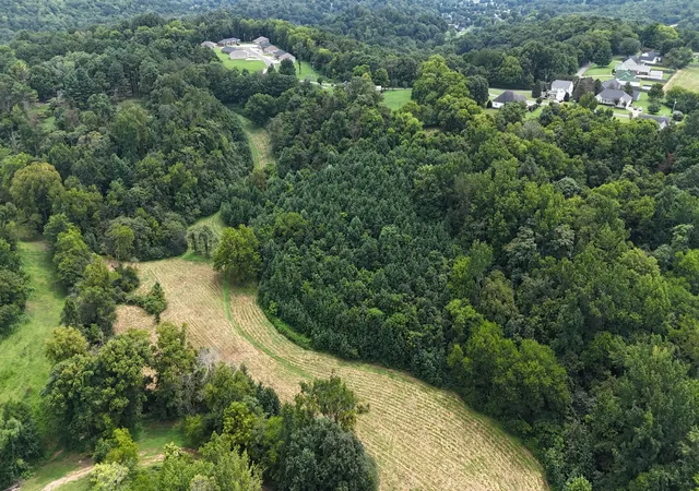 23rd image of 1680 Ragsdale Ln, Pulaski, TN 38478 | MLS# 3514851