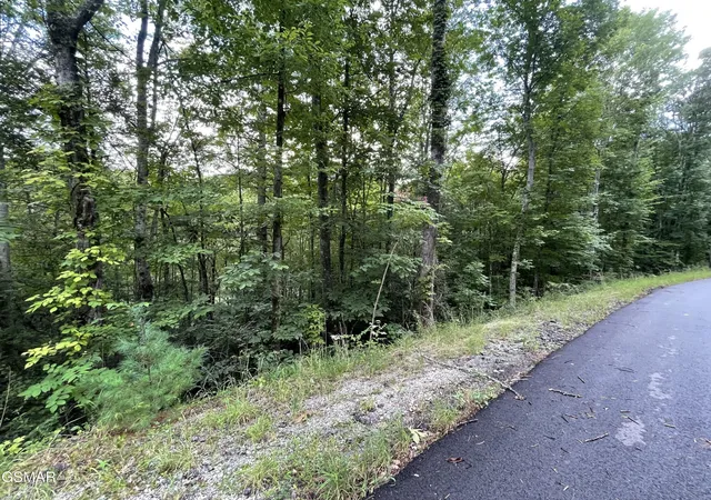 1st image of 6 Stepping Stone Dr, Sevierville, TN 37862 | MLS# 3510297