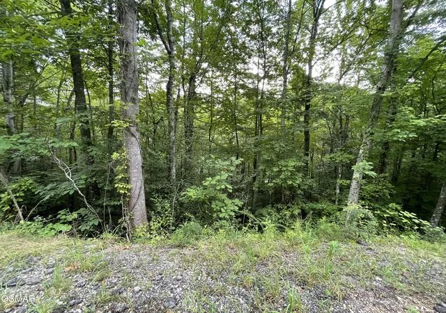 2nd image of 6 Stepping Stone Dr, Sevierville, TN 37862 | MLS# 3510297