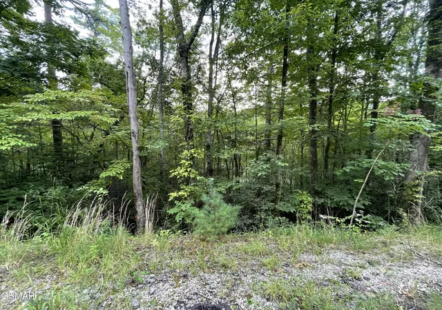 3rd image of 6 Stepping Stone Dr, Sevierville, TN 37862 | MLS# 3510297