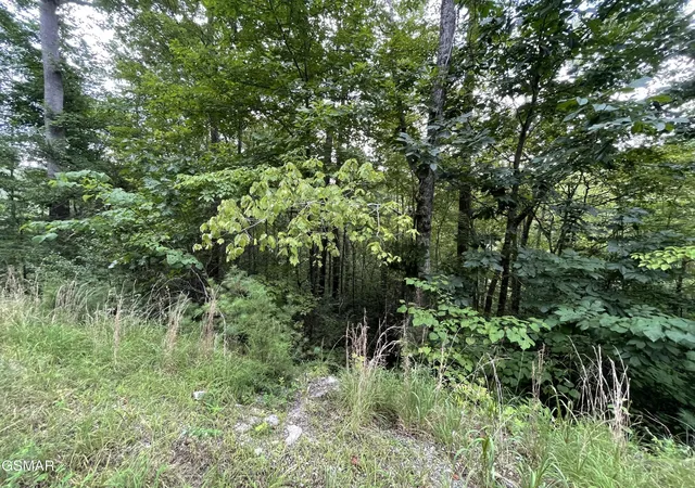 4th image of 6 Stepping Stone Dr, Sevierville, TN 37862 | MLS# 3510297